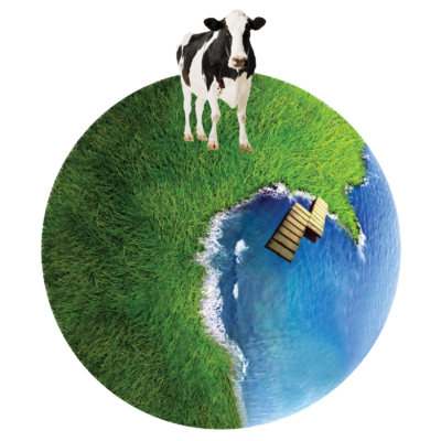 elementos-happy-cow-web-03